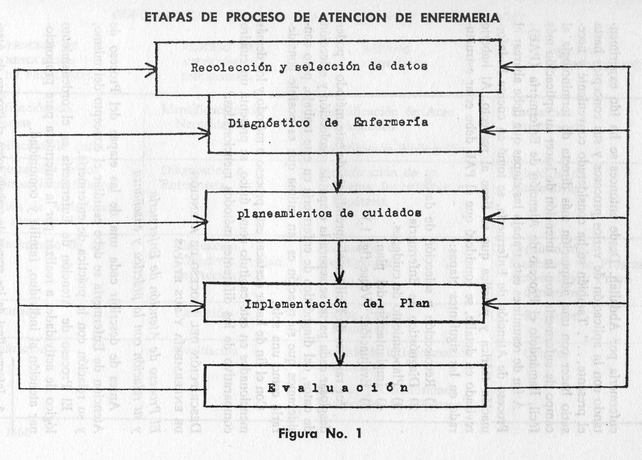 Concepto de Proceso de atención de enfermería (PAE)